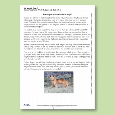 Y4 Reading (Varjak Paw 3) Supporting Texts ST