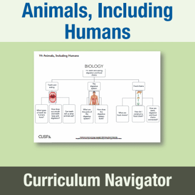 Image of Year 4 Science (Animals, Including Humans) Curriculum Navigator CN CUSP Resource