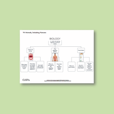 Y4 Science (Animals, Including Humans) Curriculum Navigator CN
