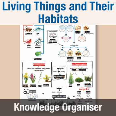 Image of Year 4 Science (Living Things and Their Habitats) Knowledge Organiser KO CUSP Resource
