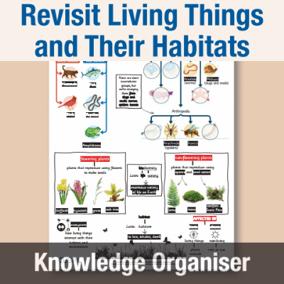 Image of Year 4 Science (Revisit Living Things and Their Habitats) Knowledge Organiser KO CUSP Resource