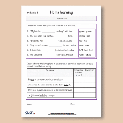 Y4 Spelling Block 01 Home Learning HL