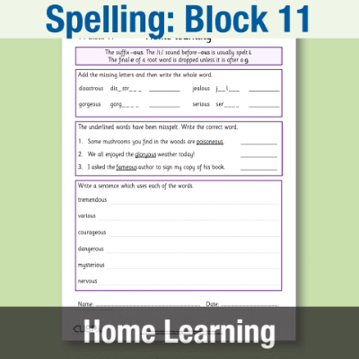 Image of Year 4 Spelling Block 11 Home Learning HL CUSP Resource