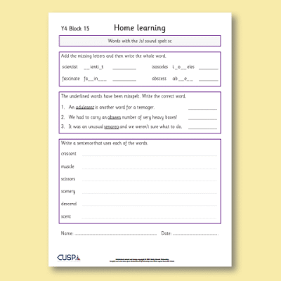 Y4 Spelling Block 15 Home Learning HL