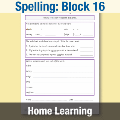Image of Year 4 Spelling Block 16 Home Learning HL CUSP Resource