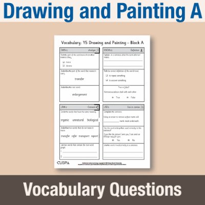 Image of Year 5 Art and Design A (Drawing and Painting) Vocabulary Questions VQ CUSP Resource