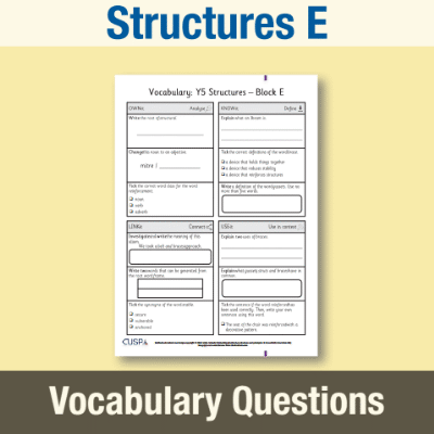 Image of Year 5 Design and Technology E (Structures) Vocabulary Questions VQ CUSP Resource
