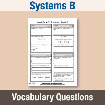 Image of Year 5 Design and Technology B (Systems) Vocabulary Questions VQ CUSP Resource