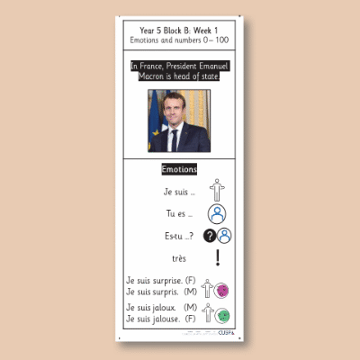 Y5 French B (Emotions and Numbers 0-100) Knowledge Notes KN