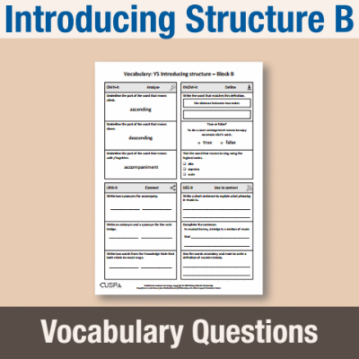 Image of Year 5 Music B (Introducing Structure) Vocabulary Questions VQ CUSP Resource