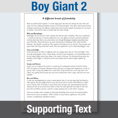 Image of Year 5 Reading (Boy Giant 2) Supporting Text ST CUSP Resource