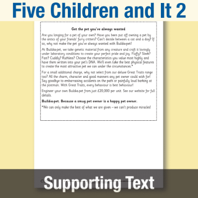 Image of Year 5 Reading (Five Children and It 2) Supporting Text ST CUSP Resource