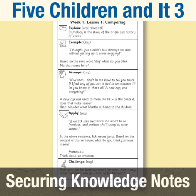 Image of Year 5 Reading (Five Children and It 3) Knowledge Notes SKN CUSP Resource