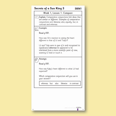 Y5 Reading (Secrets of a Sun King 3 & If) Knowledge Notes SKN
