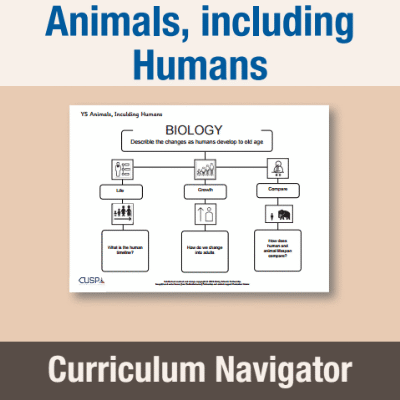 Image of Year 5 Science (Animals, including Humans) Curriculum Navigator CN CUSP Resource