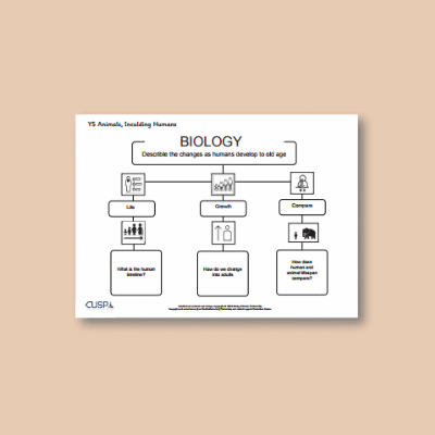 Y5 Science (Animals, including Humans) Curriculum Navigator CN