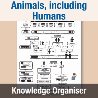 Image of Year 5 Science (Animals, including Humans) Knowledge Organiser KO CUSP Resource
