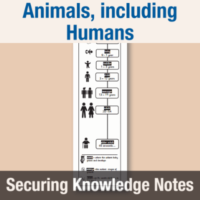 Image of Year 5 Science (Animals, including Humans) Knowledge Notes SKN CUSP Resource