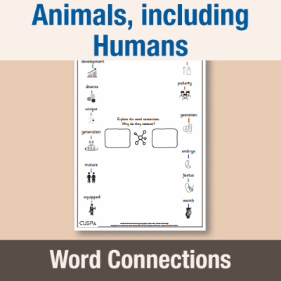 Image of Year 5 Science (Animals, including Humans) Word Connections WC CUSP Resource