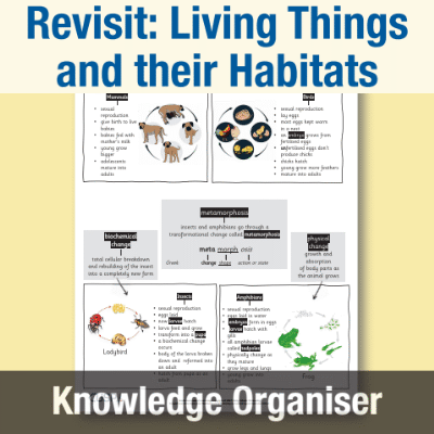 Image of Year 5 Science (Revisit: Living Things and their Habitats) Knowledge Organiser KO CUSP Resource