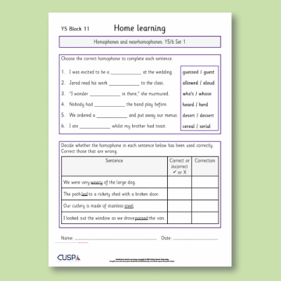 Y5 Spelling Block 11 Home Learning HL