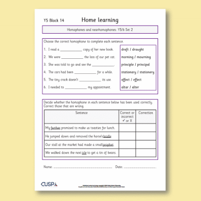 Y5 Spelling Block 14 Home Learning HL