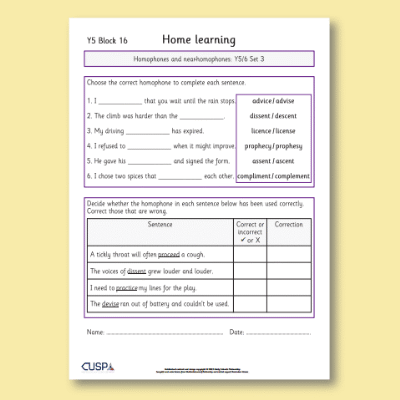 Y5 Spelling Block 16 Home Learning HL