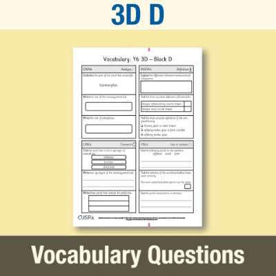 Image of Year 6 Art and Design D (3D) Vocabulary Questions VQ CUSP Resource