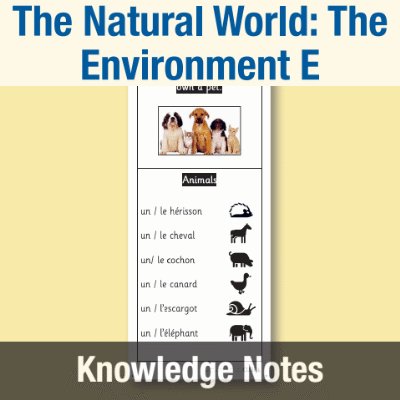 Image of Year 6 French E (The Natural World: The Environment) Knowledge Notes KN CUSP Resource