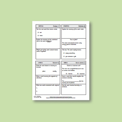 Y6 Geography (Human and physical geography: economic, settlement and trade links) Vocabulary Questions VQ