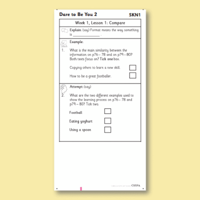 Y6 Reading (Dare to be You 2) Knowledge Notes SKN