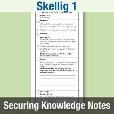 Image of Year 6 Reading (Skellig 1) Knowledge Notes SKN CUSP Resource