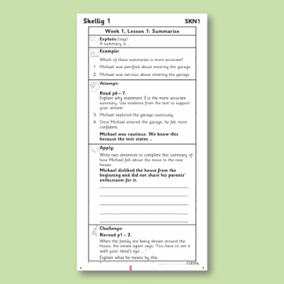 Y6 Reading (Skellig 1) Knowledge Notes SKN