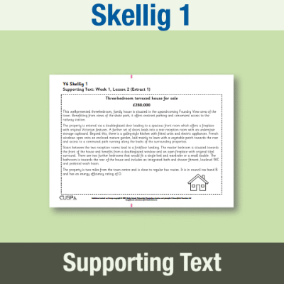 Image of Year 6 Reading (Skellig 1) Supporting Text ST CUSP Resource