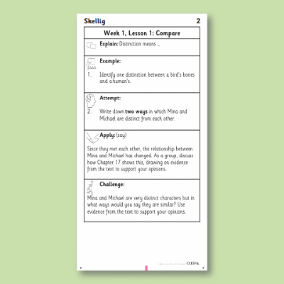 Y6 Reading (Skellig 2) Knowledge Notes KN