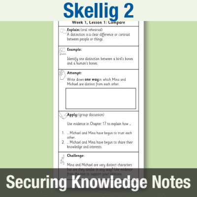 Image of Year 6 Reading (Skellig 2) Knowledge Notes SKN CUSP Resource