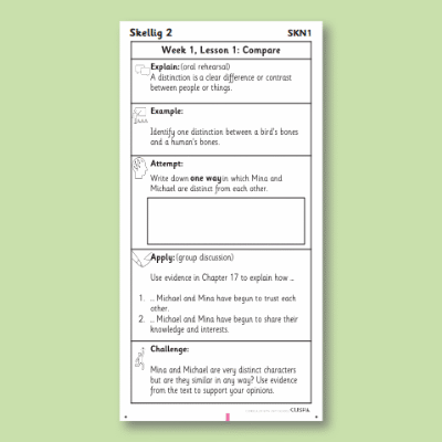 Y6 Reading (Skellig 2) Knowledge Notes SKN