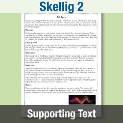 Image of Year 6 Reading (Skellig 2) Supporting Text ST CUSP Resource