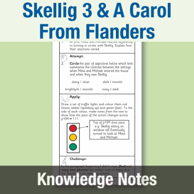 Image of Year 6 Reading (Skellig 3 & A Carol From Flanders) Knowledge Notes KN CUSP Resource