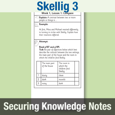Image of Year 6 Reading (Skellig 3) Knowledge Notes SKN CUSP Resource