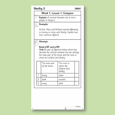 Y6 Reading (Skellig 3) Knowledge Notes SKN