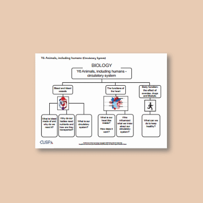 Y6 Science (Animals, including Humans - Circulatory System) Curriculum Navigator CN