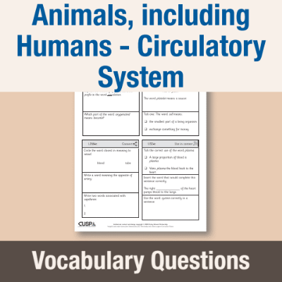 Image of Year 6 Science (Animals, including Humans - Circulatory System) Vocabulary Questions VQ CUSP Resource