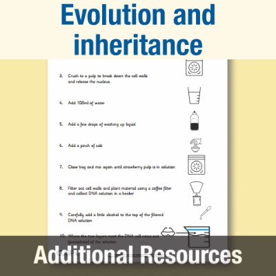 Image of Year 6 Science (Evolution and inheritance) AR1 DNA Experiment Instructions CUSP Resource