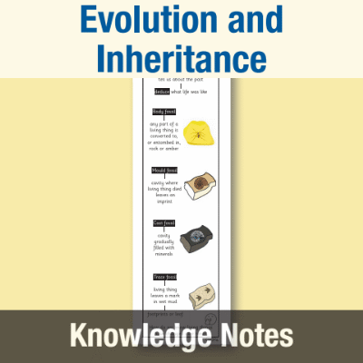 Image of Year 6 Science (Evolution and Inheritance) Knowledge Notes KN CUSP Resource