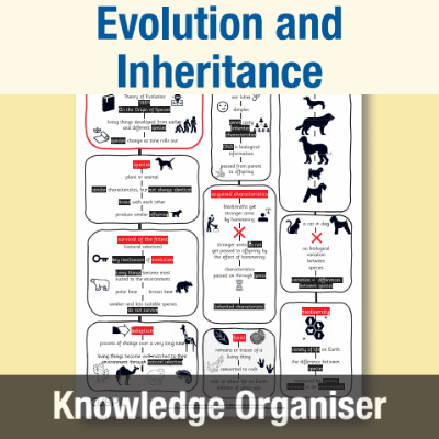 Image of Year 6 Science (Evolution and Inheritance) Knowledge Organiser KO CUSP Resource