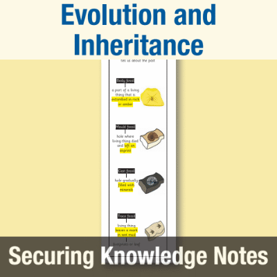 Image of Year 6 Science (Evolution and Inheritance) Knowledge Notes SKN CUSP Resource