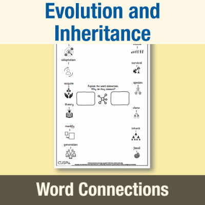 Image of Year 6 Science (Evolution and Inheritance) Word Connections WC CUSP Resource