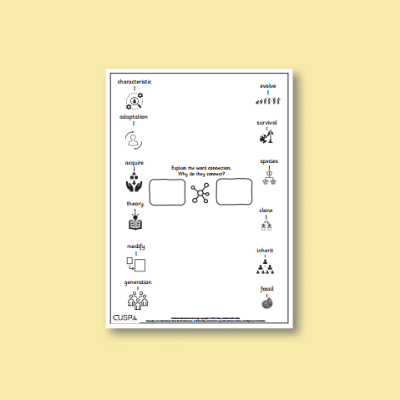 Y6 Science (Evolution and Inheritance) Word Connections WC