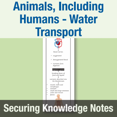 Image of Year 6 Science (Animals, Including Humans - Water Transport) Knowledge Notes SKN CUSP Resource